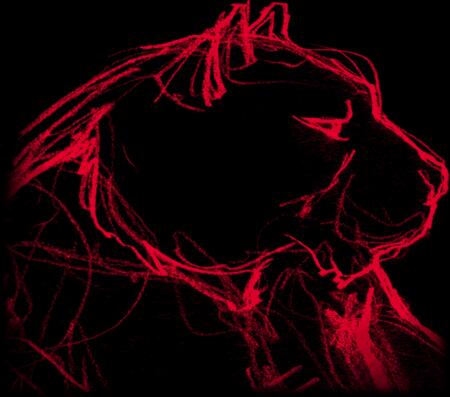 Cliquez pour entrer !